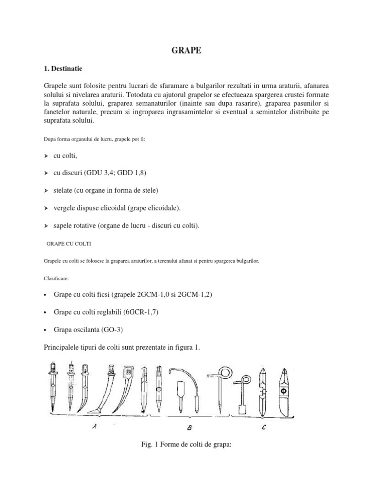 GRAPE | PDF