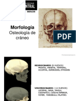Clase 1 cráneo y SNC.pdf