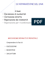 10 Mutazioni Del DNA e Sistemi Di Riparazione - 2