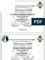 Diplomas Extintores NN PDF