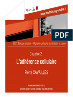 Adhérence Cellulaire