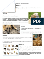 DERECHOS DE LOS ANIMALES.docx