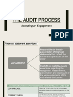 The Audit Process