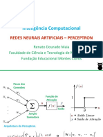 7 RNA Perceptron