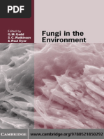 Fiber Plants | PDF | Biofuel | Dietary Fiber
