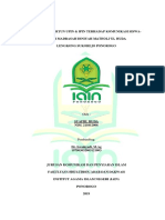 211012006-Syafiil Huda PDF