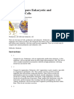 How To Compare Eukaryotic and Prokaryotic Cells