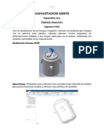 EvaluacionAnsysPatricioGuerrero.pdf