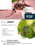 Dengue: transmisión, signos y tratamiento