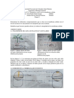 Informe 4 Laboratorio de Biologia Yeni Paola Giron