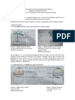 Informe 4 Laboratorio de Biologia