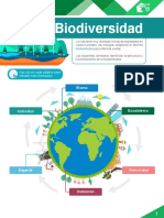 M15 S2 Biodiversidad PDF