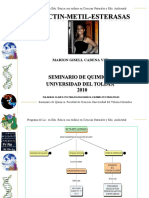 seminario_de_metil_pectil_esterasas (2)