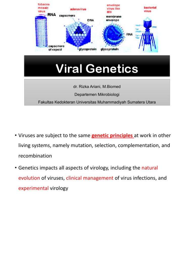 Viral Genetics Pdf Pdf Nucleic Acid Sequence Virus