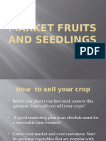 Market Fruits and Seedlings