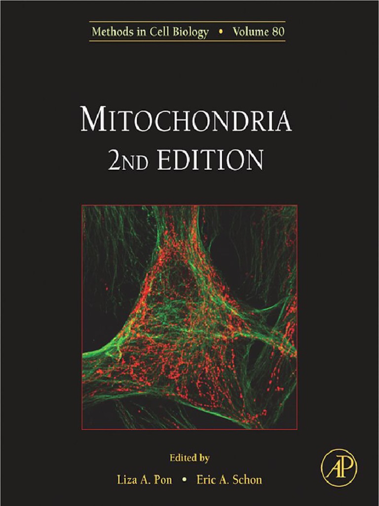 2007 ColumbiaUniversity Mitochondria PDF | PDF | Mitochondrial Dna ...