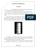 Bandaje.pdf