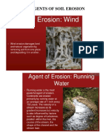 Different Agents of Soil Erosion