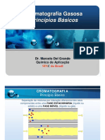 Cromatografia gasosa - Principios básicos.pdf