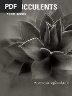 Succulents from seed