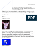 Gemas tratadas: processos e aplicações