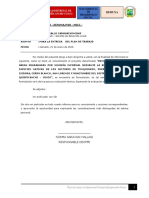 INFORME N001.docx