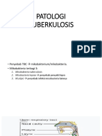 Patofisiologi TUBERKULOSIS