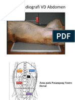 Radiografi VD Abdomen