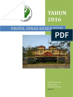 Profil Dinas Kesehatan Kabupaten Aceh Utara Tahun 2016