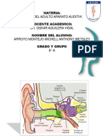 Anatomia Del Oido Anthony