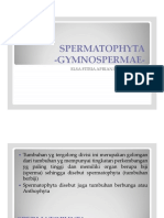 Gymnospermae PDF