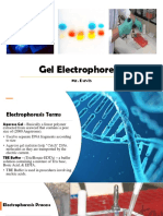 Chapter 4 - Dna Gel Electrophoresis Dye Separation - 2019