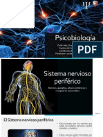 Sistema nervioso periférico .pdf