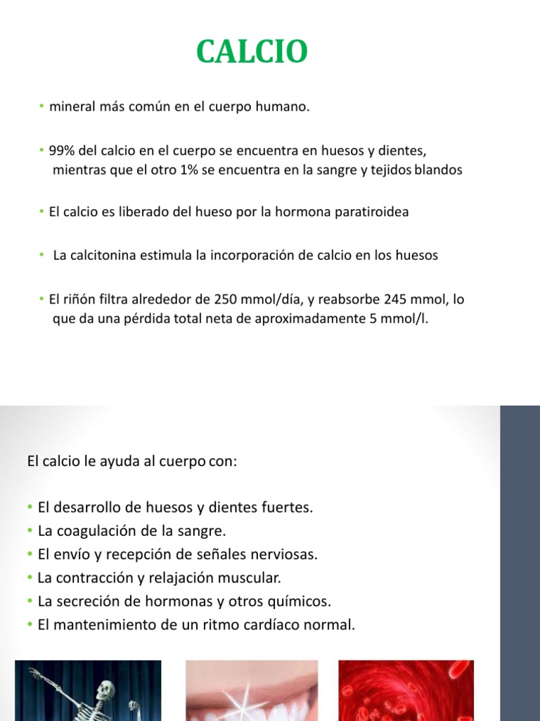 Funciones y fuentes de calcio en el cuerpo | PDF