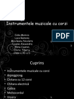 Instrumentele Muzicale Cu Corzi