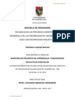 Caso Discapacidad Intelectual PDF