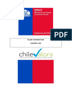 articles-4587_planes_formativos_18.pdf