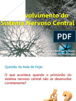 snc-ld desenvolvimento sistema nervoso.pdf
