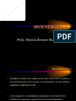 BIOENERGETICA.pdf