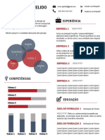 Modelo_CV_Infografico_pt