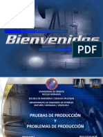 Presentación de Pruebas de Producción