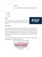 Alat Ortho Plat Aktif