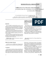 AUDIT REVISADO.pdf