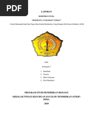 Laporan Budidaya Hotikultura Tanaman Tomat