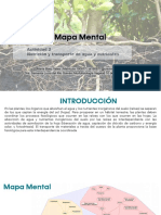 mapa_mental_nutricion_y_transporte.pdf
