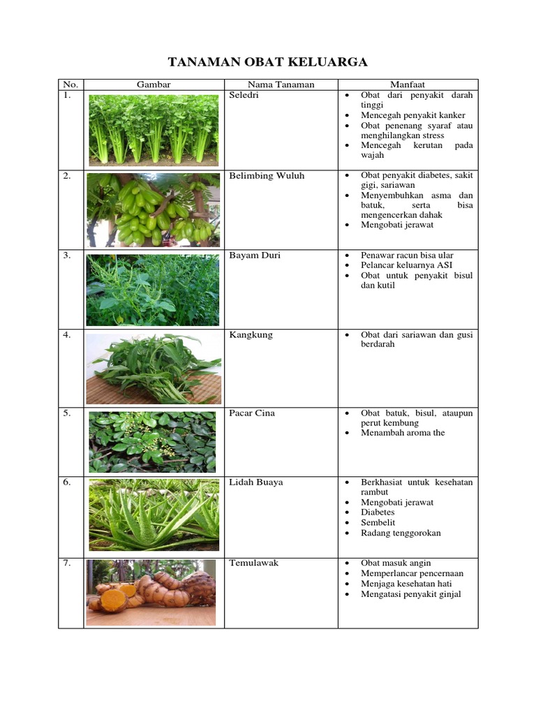Turi sebagai tanaman herbal obat alami keluarga