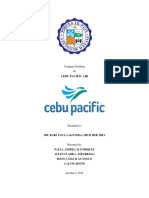 Cebu Pacific Defense Paper 1