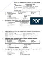 PE Summative Test