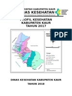 1704 Bengkulu Kab Kaur 2017 PDF
