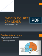 EMBRIOLOGI KEPALA DAN LEHER(1).pptx